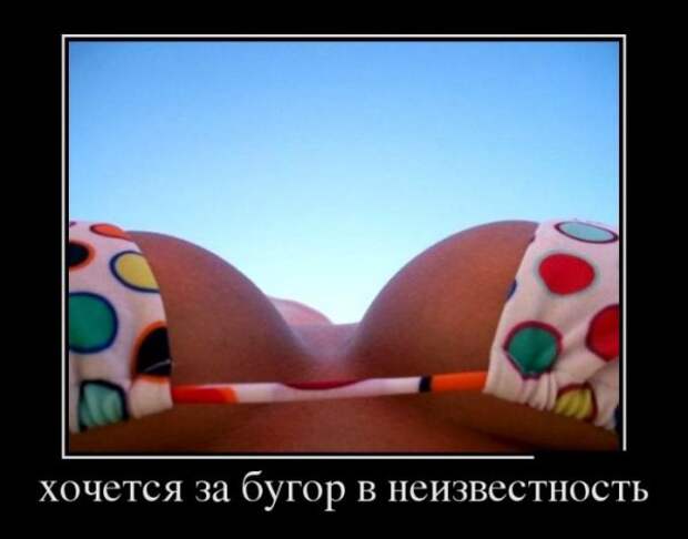 Обо всём.