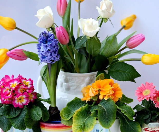 тюльпаны, ваза, цветы
