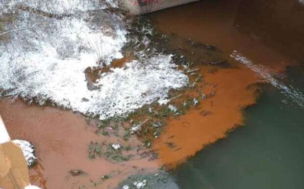 Прокуратура проверит сообщение о загрязнении рязанской реки Павловка