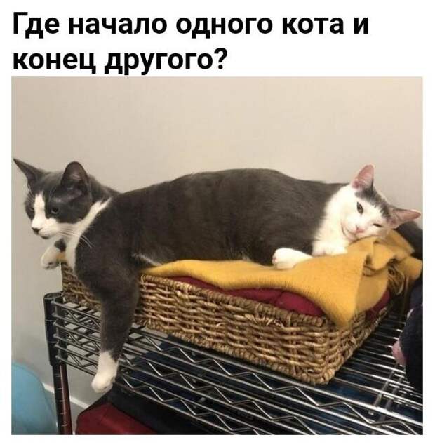 Где начало и конец Где начало и конец