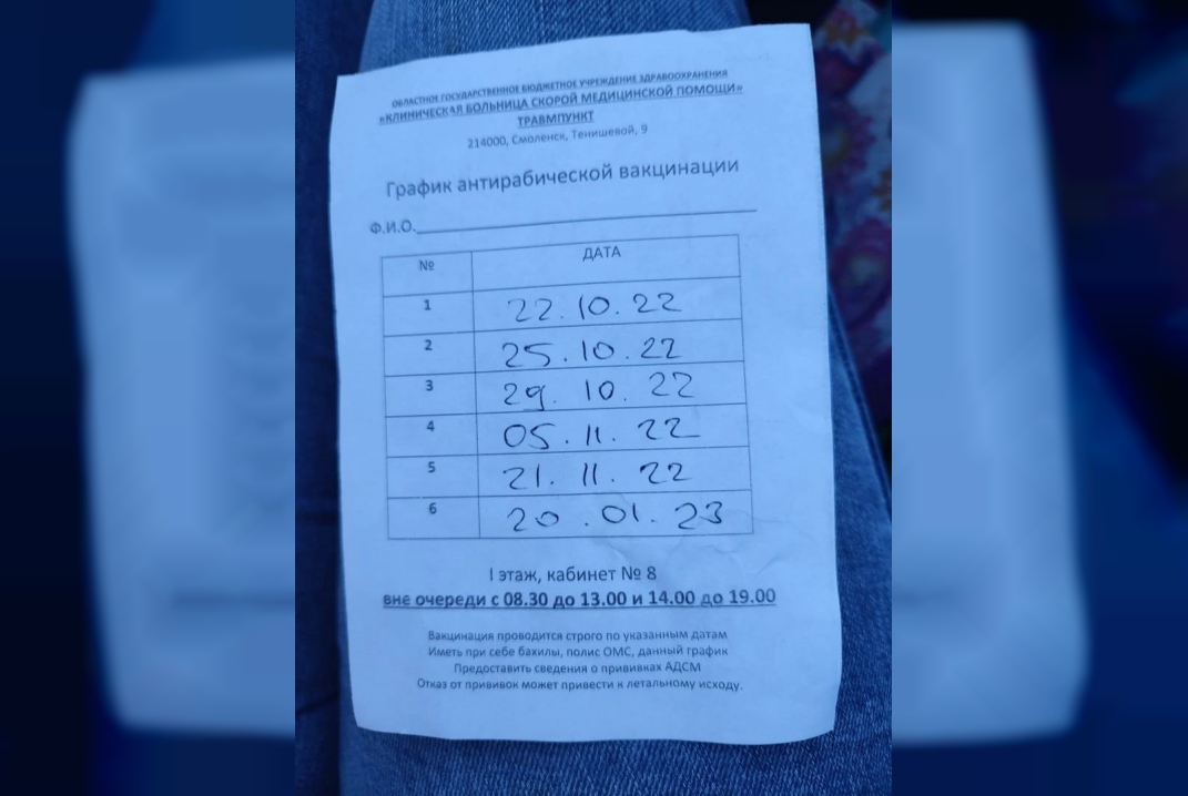 Бездомная собака покусала ребенка в Смоленске