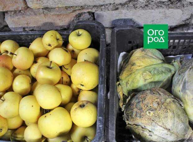 Хранение фруктов и овощей