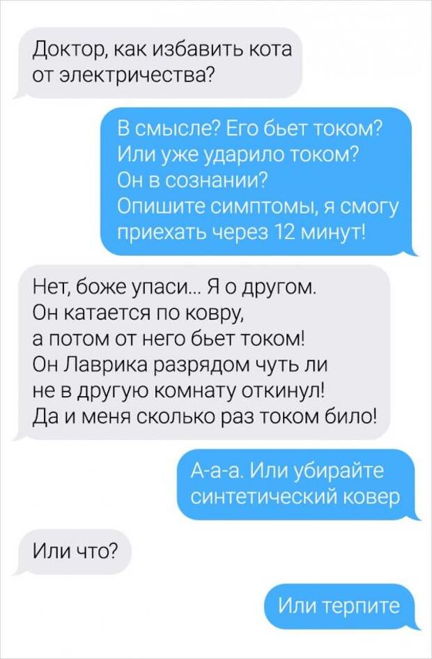 Девушка-ветеринар поделилась забавными переписками с ее клиентами
