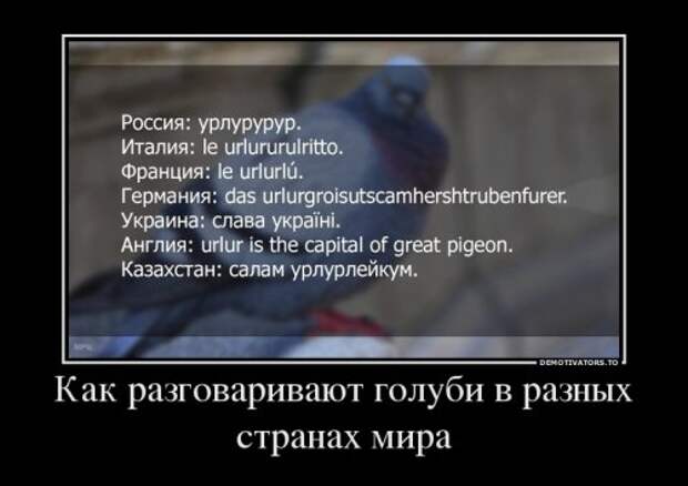 Демотиваторы в середине недели (21 шт)