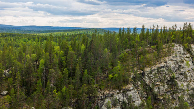 «Как только сойдет снег»: сын Усольцевой собирается продолжить поиски родных