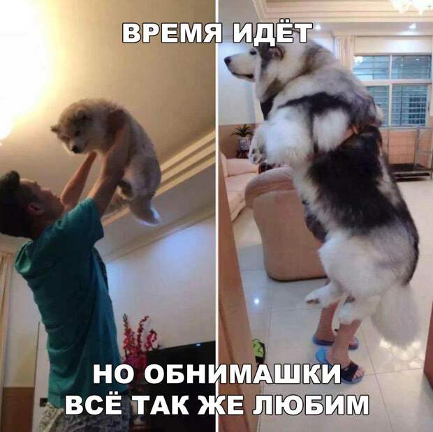 Свежие картинки и фотографии с надписью со смыслом (10 фото) Свежие картинки и фотографии с надписью со смыслом (10 фото)