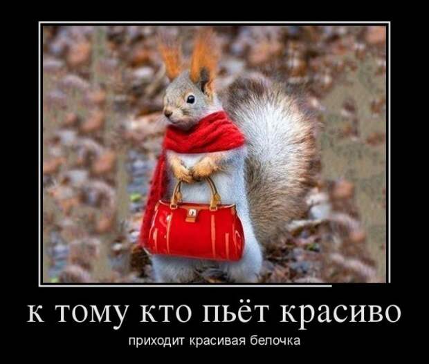 Демотиваторы (30 фото)