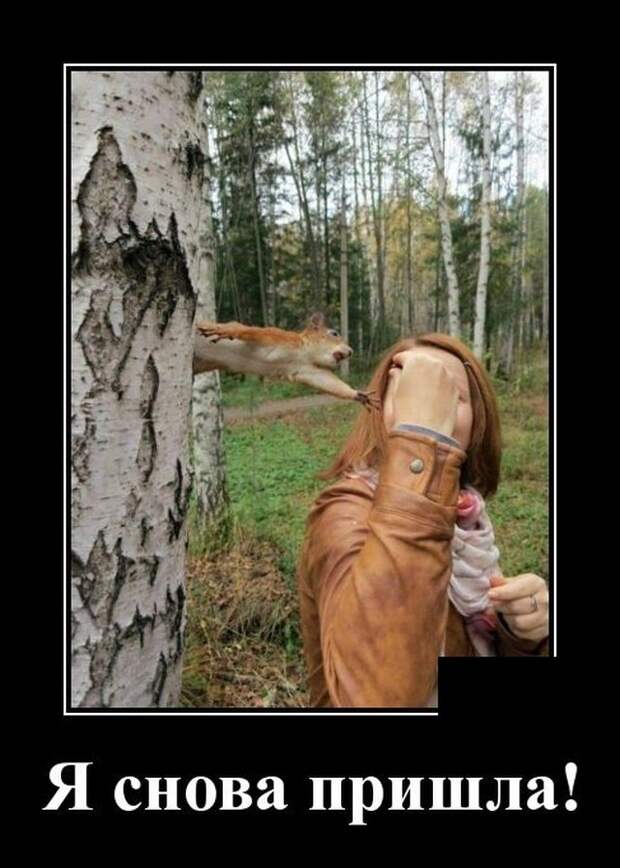 Демотиваторы