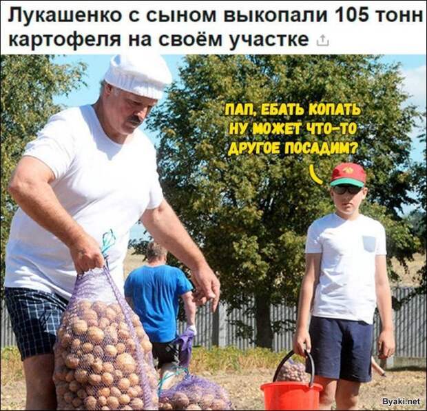 Подборка прикольных и интересных картинок