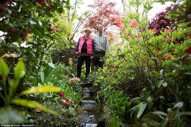 Four Seasons Garden: удивительный сад в Британии