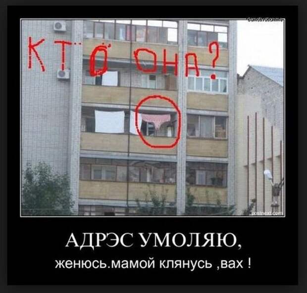 Демотиваторы (30 фото)