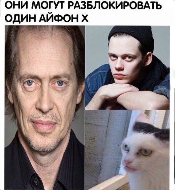 Прикольные картинки