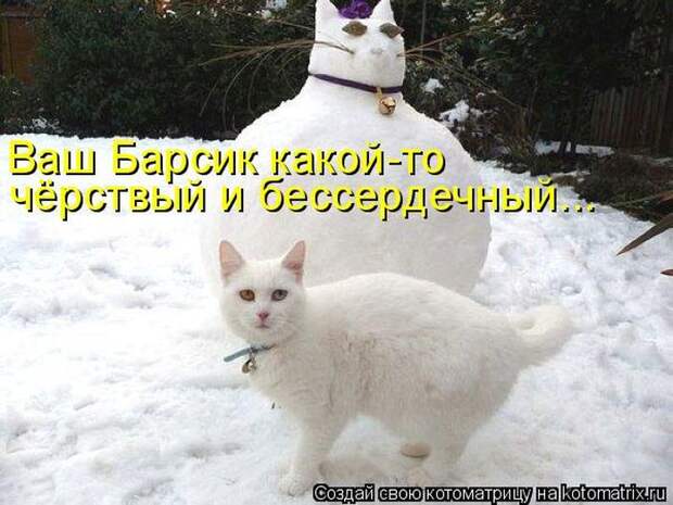 Котоматрицы :)