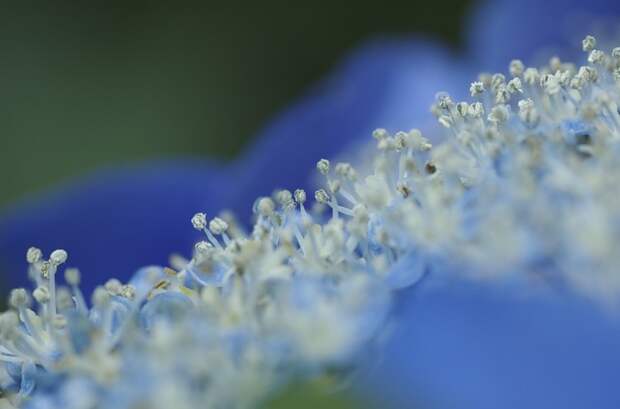 Есть только миг между прошлым и будущем... Есть только миг между прошлым и будущем...