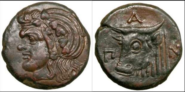 Драхма. 340 - 325 г.г. до н.э. Херсонес Таврический.