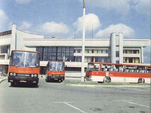 Легендарные автобусы "Икарус" на восточном автовокзале в Минске. ЛАЗ, СССР, авто, автобус, автомобили, зил, лиаз, советский автопром
