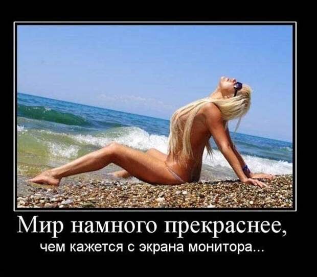 Похожее изображение