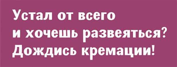 Немного позитива в романтических и бесшабашных шуточках этой подборки