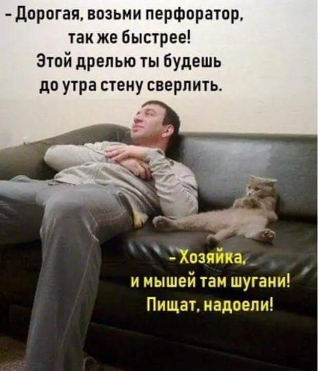 Мужика спрашивают: - Ты че такой грустный?...