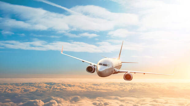 Аэропорт Домодедово обслуживает рейсы по согласованию