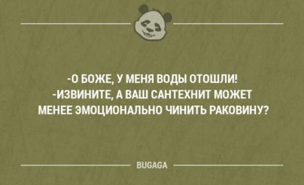 Забавные фразы и мысли. Часть 40 (18 шт)