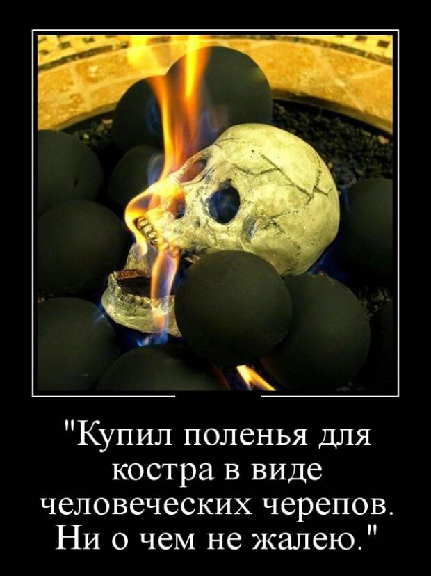 Демотиваторы (30 фото)