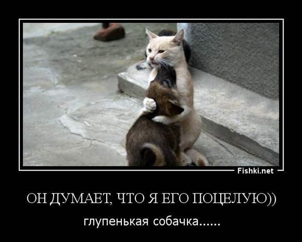 Снова демотиваторы!