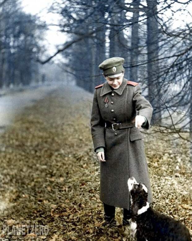 Цесаревич Алексей с собакой по кличке Джой история, факты, фото
