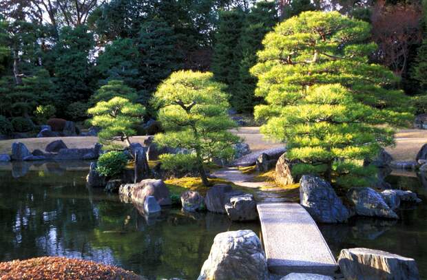 В парке "Краснодар" остановили строительство японского сада, который мог бы стать крупнейшим в мире