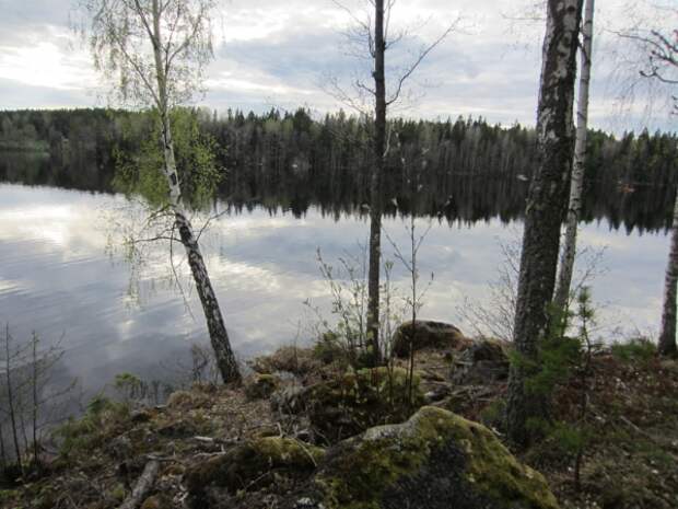 image sweden-fishing-0038-jpg