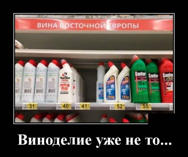 Демотиваторы (30 фото)
