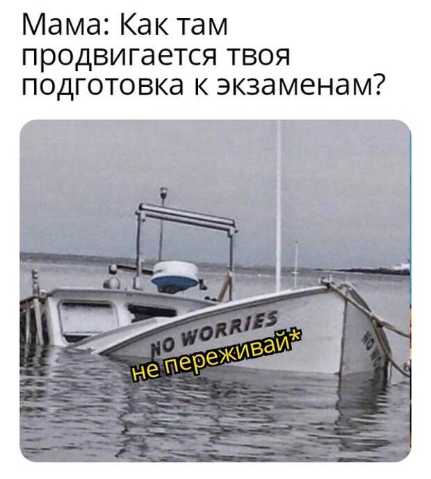 Экзамены