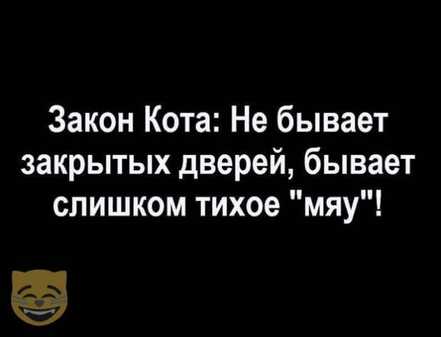 Бывать закрывать. Не бывает закрытых дверей бывает слишком тихое мяу. Кот в законе. Не бывает закрытых дверей бывает слишком тихое. Не бывает закрытых дверей бывает слишком тихое мяу фото.