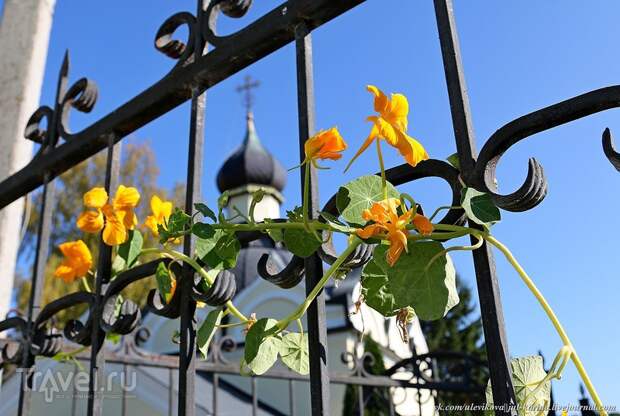 Звенигород. Городок / Фото из России