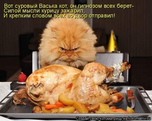 Забавные животные (50 фото)