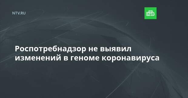 Роспотребнадзор не выявил изменений в геноме коронавируса