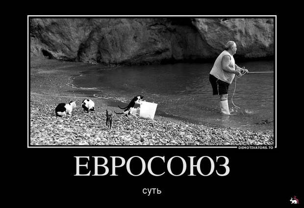 Демотиваторы и мотиваторы. Демки суббота