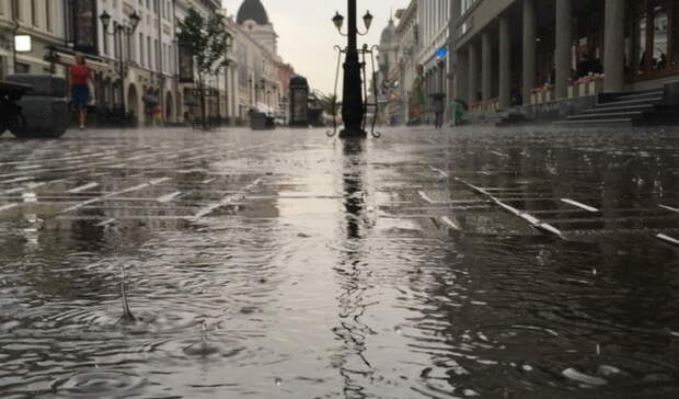 Итоги субботы: пожар, собаки и последствия непогоды