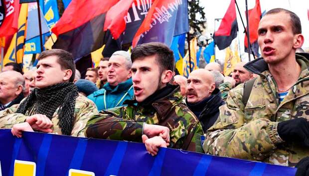 Грабли Януковича: зачем Зеленский заигрывает с радикалами. Владимир Корнилов