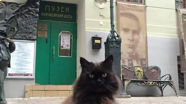 Из «Булгаковского дома» похитили кота Бегемота
