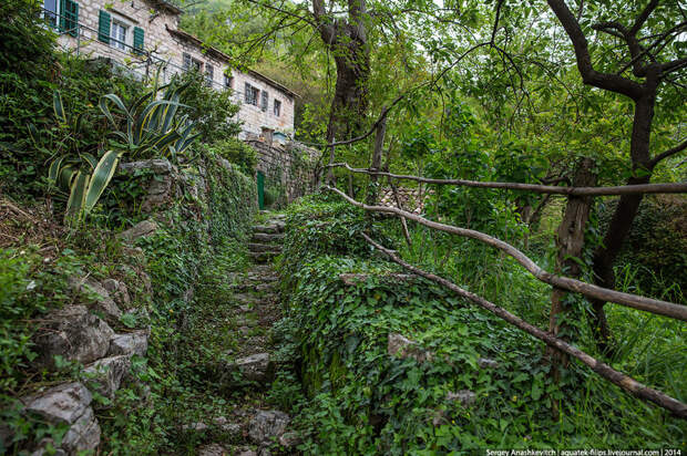 Нетуристическая Черногория: заброшенная деревня Горная Ласточка