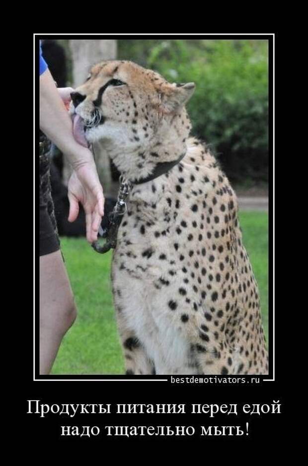 Прикольные демотиваторы