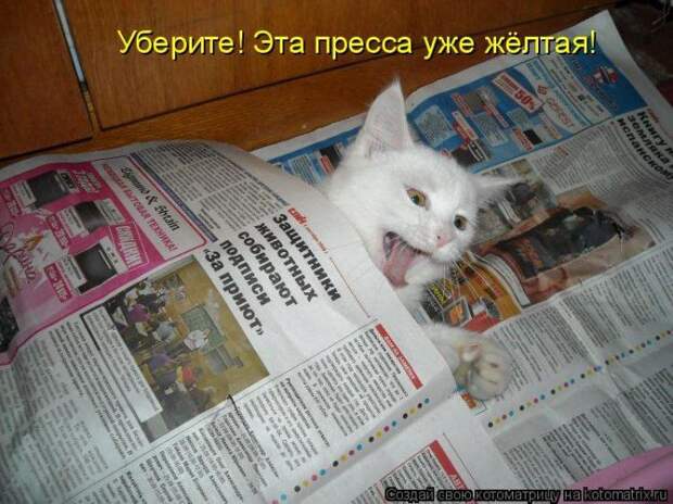 Котоматрицы :)