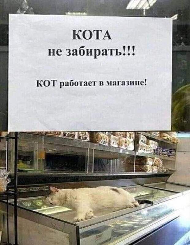 Коротко и ясно! Коротко и ясно!
