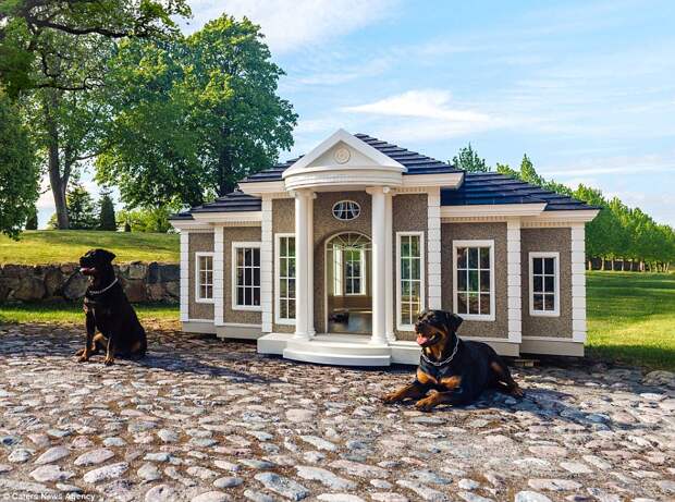 The dog houses boast features including heating, air conditioning, treat dispensers and even a conference calling system so the dog and its owner can communicate with each other