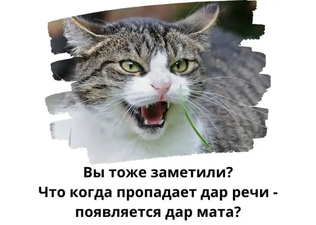 Хорошо быть женщиной: знаешь, что твое место - кухня, а мужикам: страдай, ищи себя в этом большом и жестоком мире! Карузо, Пикассо, палкой, Вопросов, России, стриптиз, ничего, Проходите, резко, почему, ишаке, товарищ, помню, проституток, наличие, девушки, парня, зависит, спрашивающегоПрофсоюз, будут