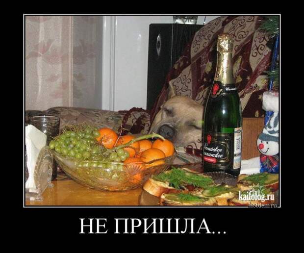 Очень прикольные демотиваторы (50 штук)