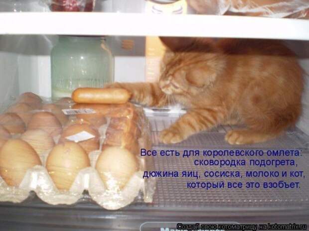 Котоматрицы :)