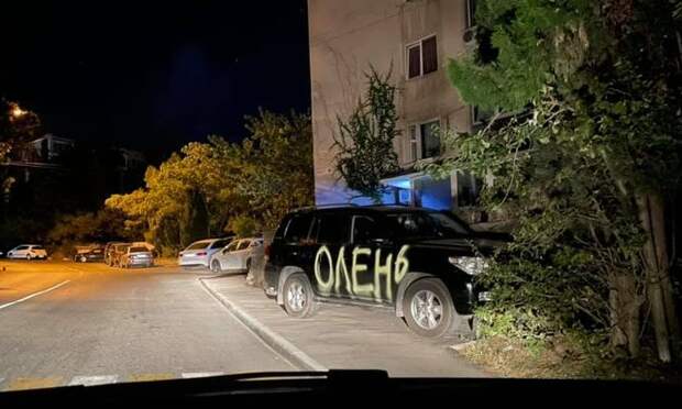 «Олень». В Крыму автомобилиста наказали за парковку на тротуаре. ФОТО