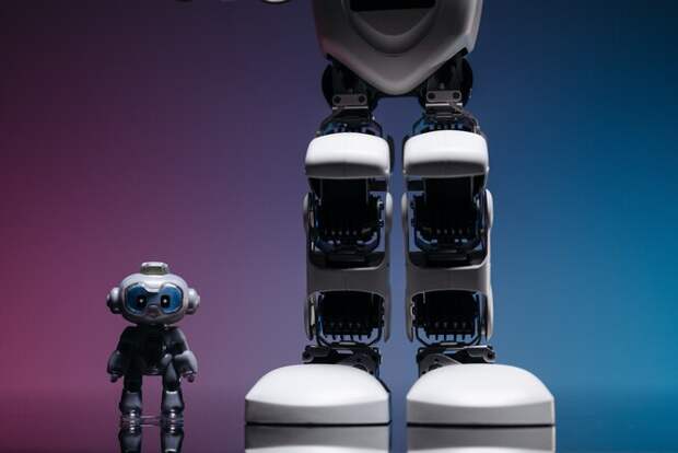 Победившему в конкурсе лиц для роботов нужно будет сделать 3D-модель своего лица, а затем еще и наговорить не менее 100 часов голосовых записей Внешность выбранного кандидата станет стандартным внешним видом для роботов этого вида, старт деятельности намечен на 2023 год.